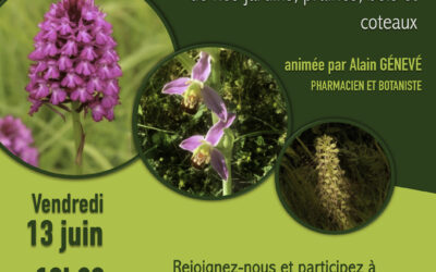 Conférence 13 juin
